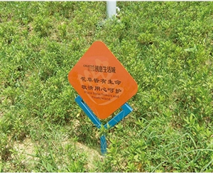 西藏小区花草标识牌
